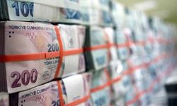 Bankacılık sektörünün mevduatı geçen hafta arttı