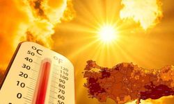 2024, Türkiye'nin kayıtlardaki en sıcak yılı oldu