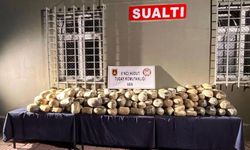 Van'da büyük operasyon