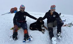 Vanlı dağcılardan iki günde iki dev zirve