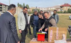 Yüksekova'da arılar elektrikli çitle koruma altında