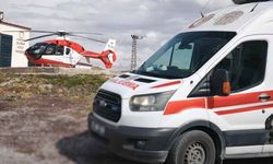 21 günlük bebek helikopter ambulansla Van'a sevk edildi