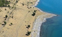 Van Gölü 35 yılda 31 kilometrekare küçüldü