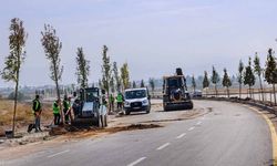 Van Gölü Sahil Yolu’nda ağaçlandırma çalışmaları