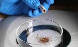 Her 10 sigara çeşidinin 9'unda mikroplastik çıktı