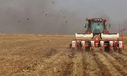 Tarım-GFE yıllık yüzde 30,28 arttı