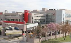 Türk Patent ve Marka Kurumu açıkladı: Van’ın başvuru sayısı 22!