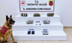İçişleri Bakanlığı: 298 şüpheli tutuklandı