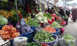Van'da geleneksel kış hazırlığı başladı