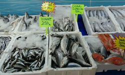 Van'da tezgahlar çeşitlendi: Tüketicinin tercihi Van Gölü'nün incisi oldu
