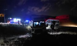 Van'da iki servis minibüsü çarpıştı: 8 yaralı