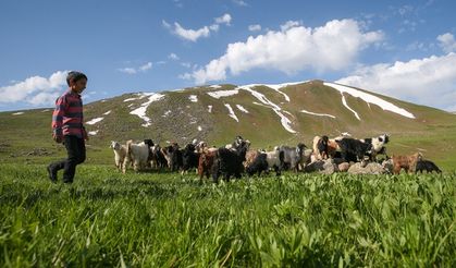 Zirveden doğaya kuş bakışı