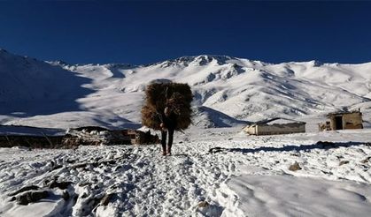 Van'da çobanların yayla sezonu sona erdi