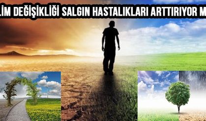 İklim Değişikliği Salgın Hastalıkları Arttırıyor mu?