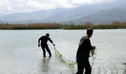 Van Balığının kaçak avlanmayla başı dertte! Bin metre uzunluğunda balık ağı ele geçirildi