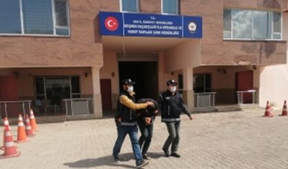 Van'da göçmen kaçakçılarına operasyon