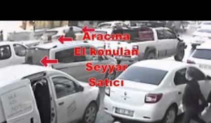 Van'da dökülen balıkların güvenlik kamerası görüntüleri ortaya çıktı