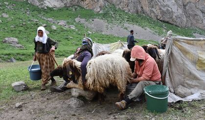 Göçerler yazı geçirmek için Van'daki serin yaylaları tercih ediyor