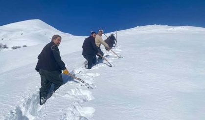 Van'da düşen çığ mahalleyi susuz bıraktı