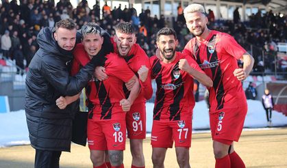 Van Spor - Serik Belediyespor maçı fotoğrafları