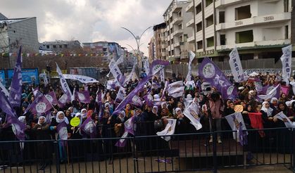 DEM Parti Van'da miting düzenledi