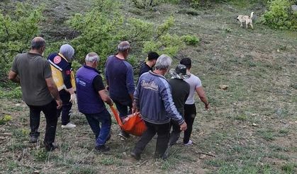 Ayının saldırısına uğrayan adam yaralandı