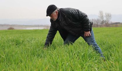 İlkbahar yağışları çiftçilerin yüzünü güldürdü