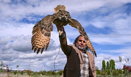 Van'daki merkez tedavi ihtiyacı olan yaban kuşları için "sağlık üssü" oldu