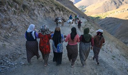 Van'daki berivanların yayla yolculuğu