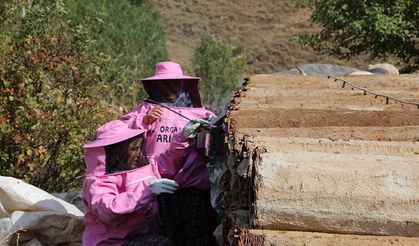 Van'da 'Pembe maskeli kadınlar' bal hasadına başladı