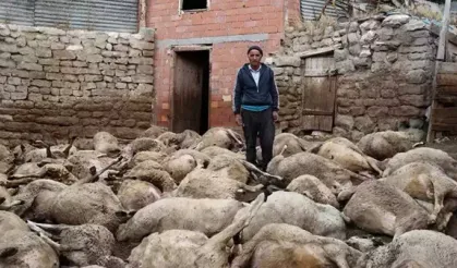 Şok Edecek Olay; 40 Yıllık Birikim Bir Gecede Yok Oldu!