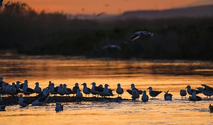 Van Gölü'nde gün batımı büyüledi