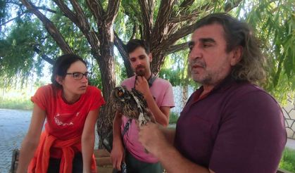 İtalya'dan Van'a gelip, doğaya kuş saldılar
