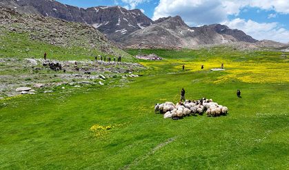 Van yaylalarındaki hareketlilik arttı