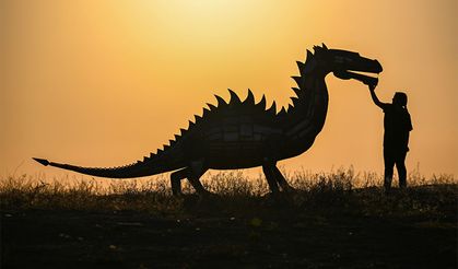 Van Gölü Canavarı'nı sahilde görenler şaştı kaldı