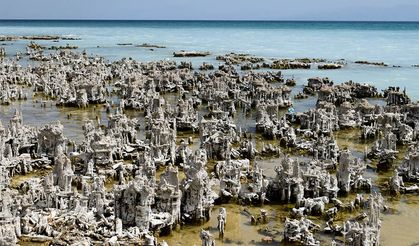 Dalgıçlar Van Gölü'nün derinliklerindeki mikrobiyalitleri görüntüledi