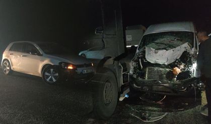 Van'da minibüs ve otomobil ineğe çarptı