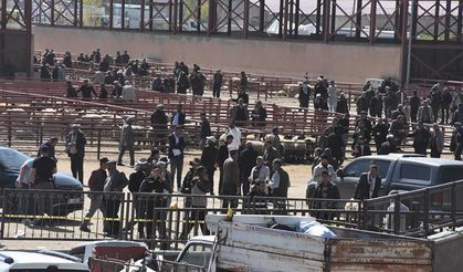 Van'da hayvan pazarında silahlı kavga: 1 ölü, 13 yaralı