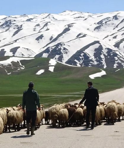 Hakkari'de yerli çoban bulunamadı, rota İran'a çevrildi