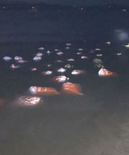 Van’da 3 ton kaçak avlanmış balık ele geçirildi