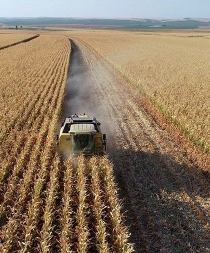 Türkiye genelindeki tarım sayımında sona yaklaşıldı