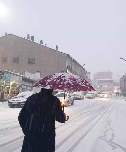 Başkale'de kar yağışı etkili oldu