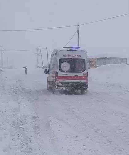 Hakkari'de beyaz esarete karşı sağlık seferberliği