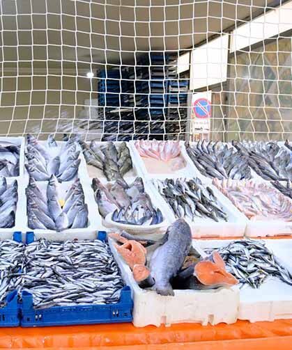 Van’da hamsi ve palamudun fiyatı düştü