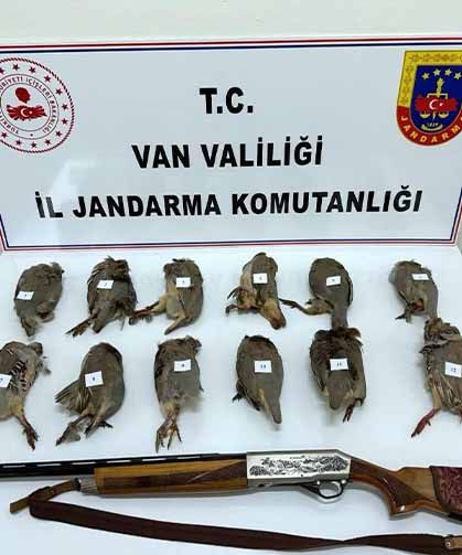 Van'da kaçak avcılığa 81 bin TL ceza