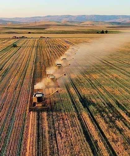 Çiftçilere 338,3 milyon liralık tarımsal destekleme ödemesi yapıldı