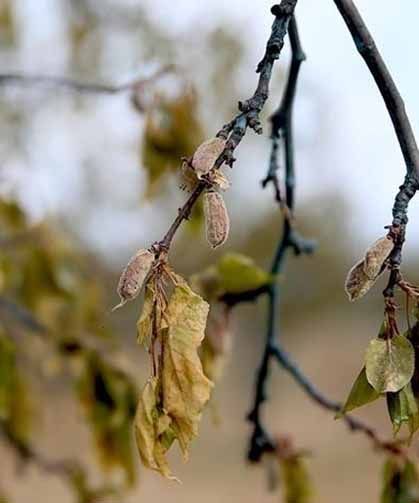 Üreticilere verilen destekler 158,55 milyar liraya yükseldi