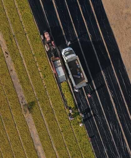 5 soruda tarıma yönelik Hazine destekli yatırım ve işletme kredileri