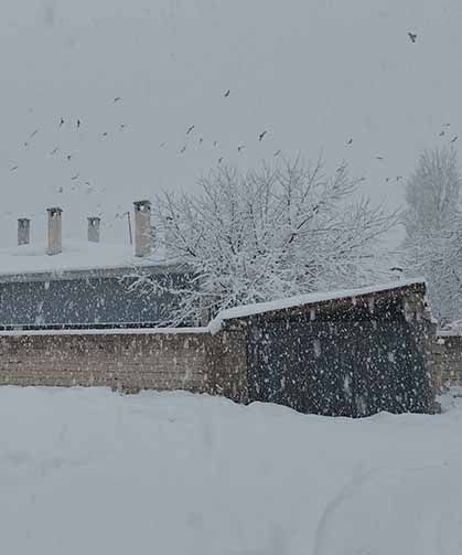 Erciş’te kar yağışı