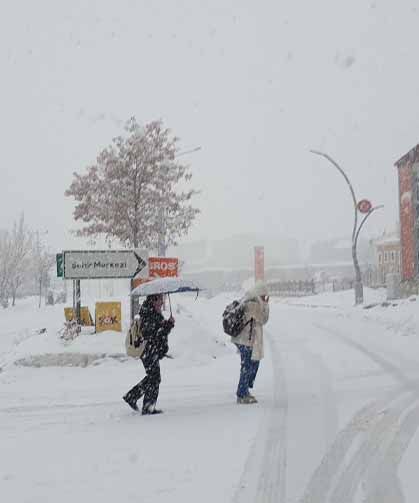 Başkale'de yoğun kar yağışı